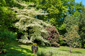 Villa Taranto, Piedmont, italy 12 May 2015