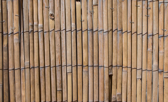 Bambussichtschutz, Hintergrundgrafik