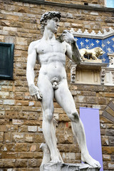 statua del David di Michelangelo, Firenze, Italia