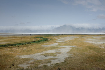 Going on safari in the NgoroNgoro Conservation Area (NCA), a UNESCO World Heritage Site located in the Crater Highlands near Arusha, Tanzania, in East Africa.