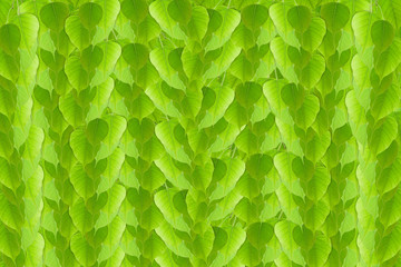 Green leafs seamless background.