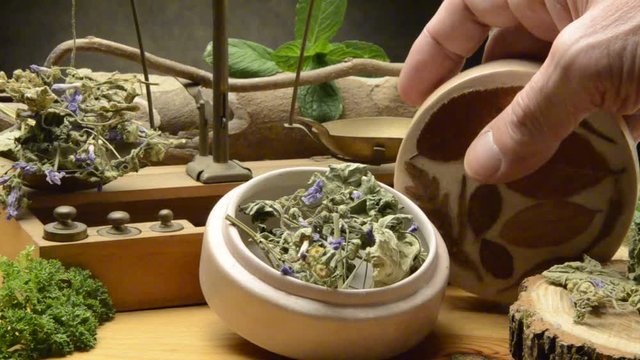 Փիփերթ Malva sylvestris Sl&eacute;z خبازة Malven Malvat M&aacute;lyva n&ouml;v&eacute;nynemzets&eacute;g    Kaasjeskruid پنیرک  Мальва 錦葵屬 Ślaz חלמית