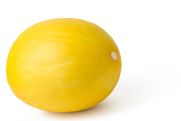 single cantaloupe melon