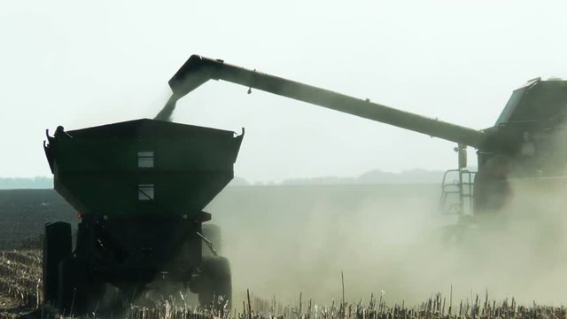 Harvesting sunflower by using a modern combine harvester 