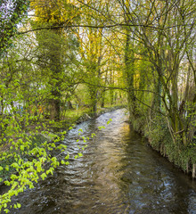 river Wuerm with green trees in Munich