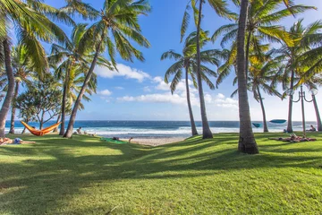 Fotobehang Camps Bay Beach, Kaapstad, Zuid-Afrika Strand van Grande Anse onder de kokospalmen, het eiland Réunion