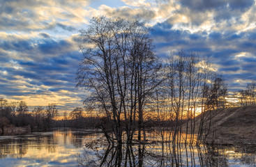 Весенний пейзаж, река разлилась, затопила деревья на фоне заката