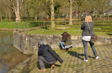 Fototapete bei efototapeten.de bestellen   