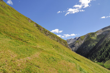 Fototapeta na wymiar Steile Bergwiesen, Blick Richtung Samnauen, im Hintergrund Gipfel der Samnauen-Gruppe