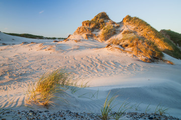 Dünenlandschaft in Dänemark im Abendlicht