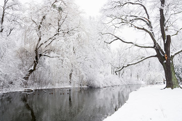 Parklandschaft im Winter in Dresden