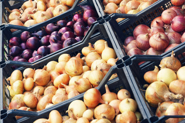 Red and white onions in boxes