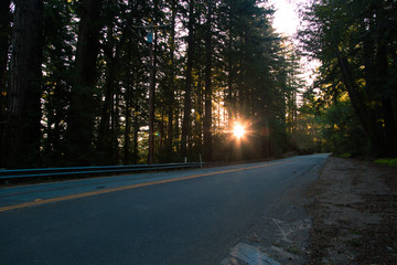 Sunrise over a Redwood highway in Northern California