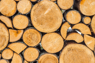 pile of wood trunks stored in a forest