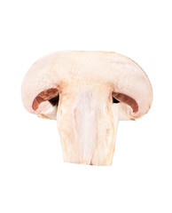 Half champignon mushroom