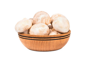 Raw mushroom champignon