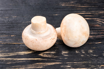 Raw mushroom champignon