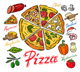 vector color pizza