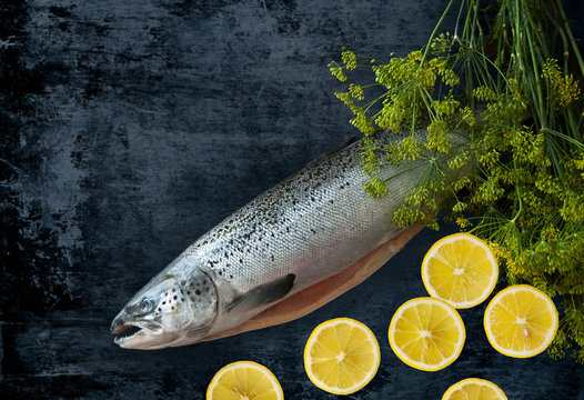 Raw fish whole salmon with lemons and dill