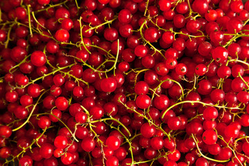 Background from berries of a red currant