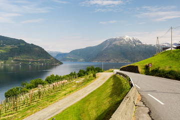 Landscape near Hardangerfjord in Norway
