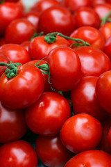 Red ripe tomato wallpaper