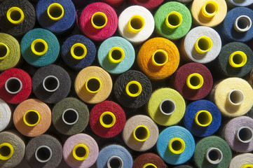 Colori