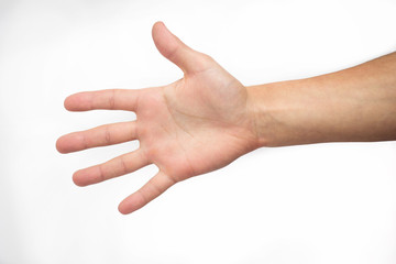 Open hand. on white background