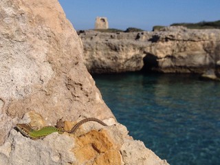 landscape Roca Vecchia