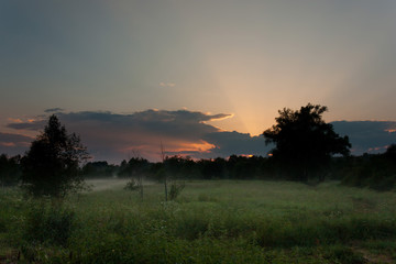 Sunset over the meadow under fog