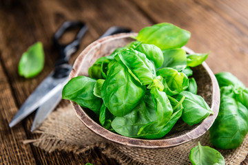 Fresh Basil (close-up shot)