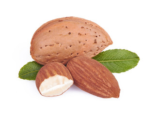 almonds in close-up