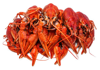 Fresh juicy boiled crawfish. seafood, healthy food.