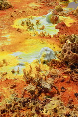 Dallol mountain rising 50-60 ms.over Lake Assale Karum. Danakil-Ethiopia. 0336