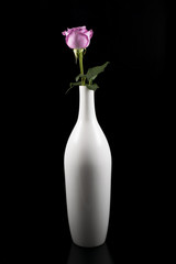 Rosa violeta en un jarrón blanco