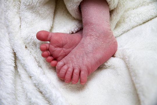 S&uuml;&szlig;e Babyf&uuml;&szlig;e eines zwei Wochen alten Neugeborenen