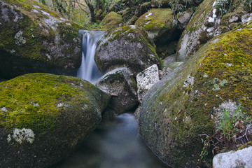 Río en el bosque, Galicia, España