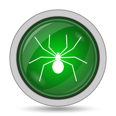Spider icon