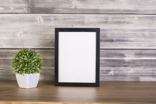 Plant and blank frame