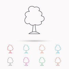 Tree icon. Forest wood sign.