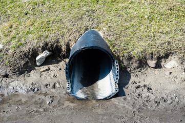 Muddy black plastic pipe emerging on wet dirt.