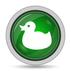 Duck icon