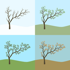 Set of tree in four seasons.