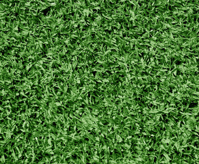 artificial grass