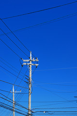 電線と電柱
