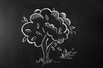 Tree drawn on blackboard