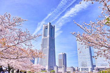 春の横浜の風景