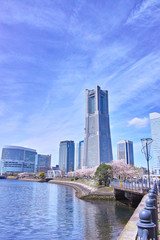 Obraz premium 春の横浜の風景