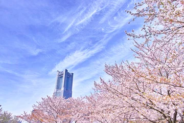 Crédence de cuisine en verre imprimé Fleur de cerisier 桜と高層ビル