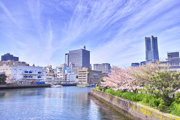 Fototapeta premium 春の横浜の風景